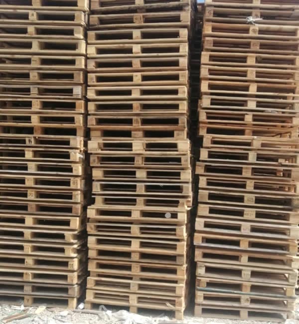 Bakı Palet Dünyası